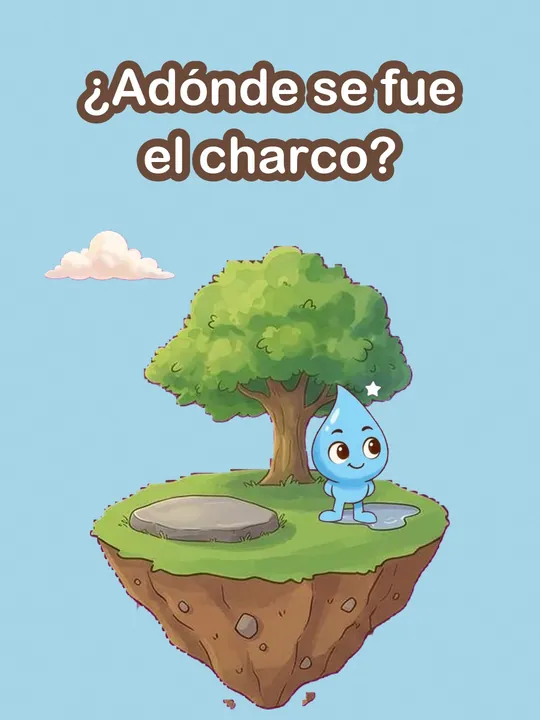 ¿Adónde se fue el charco?